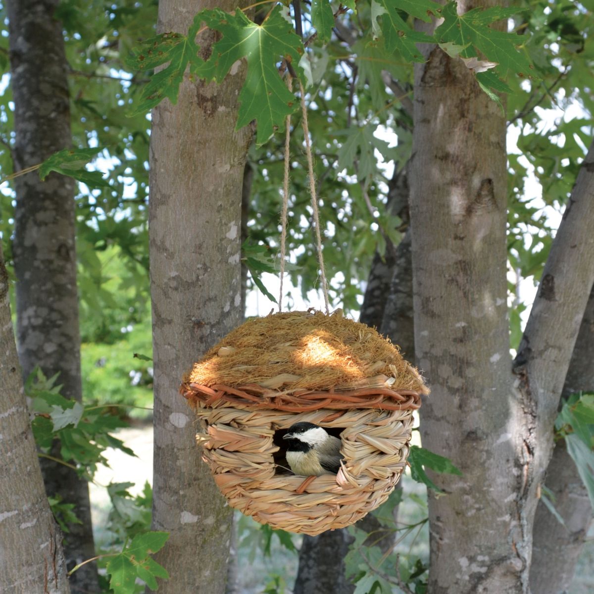 Hanging Grass Roosting Pocket Round Set of 2