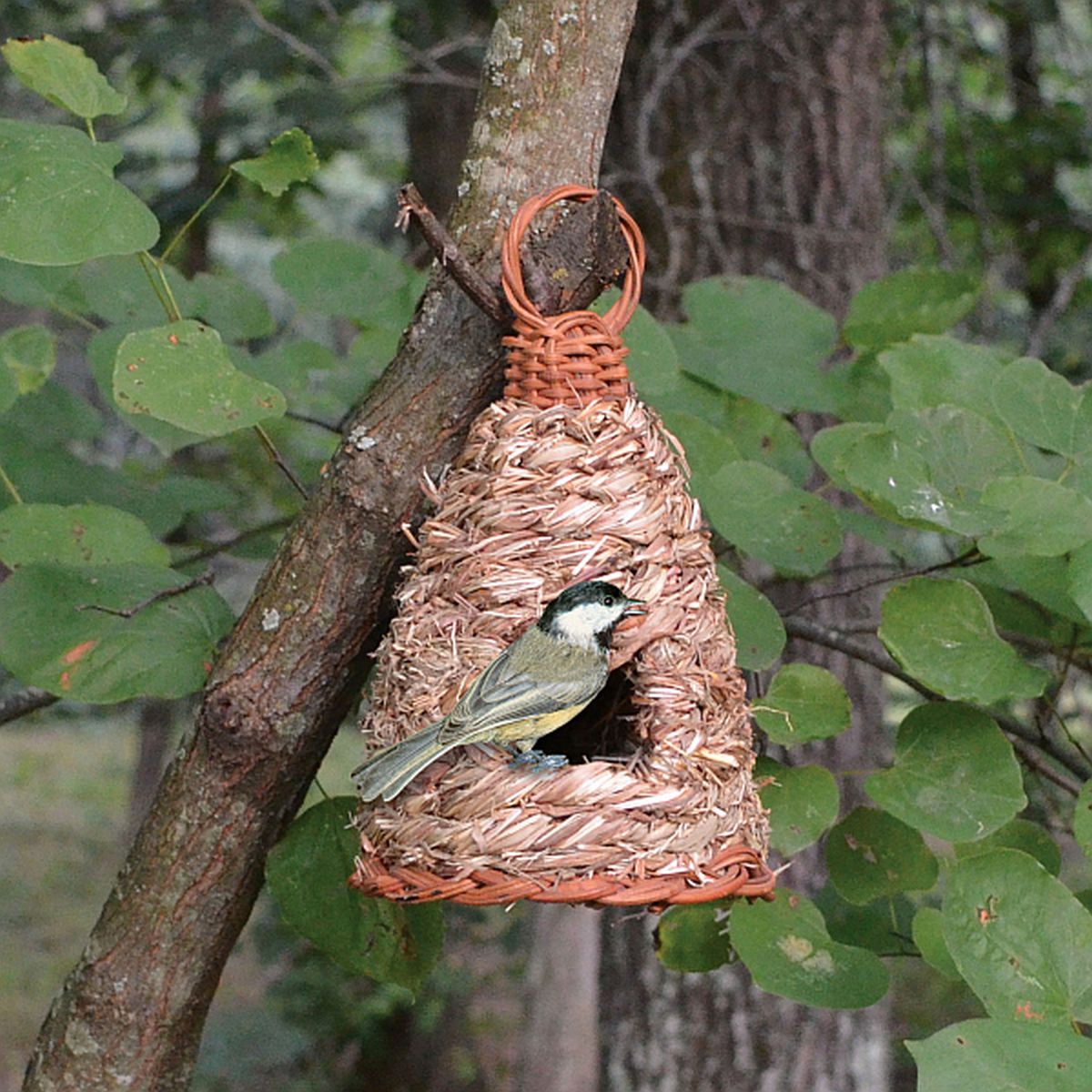 Hanging Grass Roosting Pocket Hive Set of 2