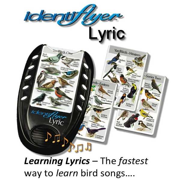 BirdSong IdentiFlyer Lyric Complete Set