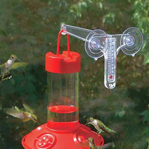 Dr Jbs 16 Oz Clean Hummingbird Feeder Red With Window Hanger