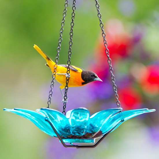 Hanging Daisy Glass Birdbath/Birdfeeder 12