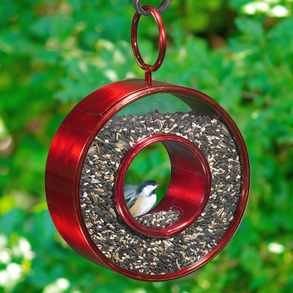 Fly-Through Circle Bird Feeder Ruby Red