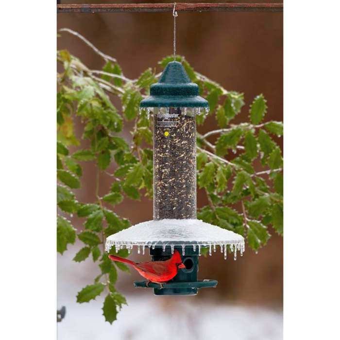 Squirrel Buster Plus Bird Feeder w/Weather Guard