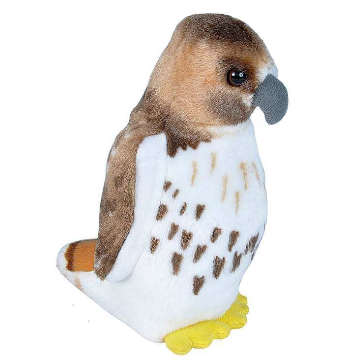 Audubon Birds - Red-tailed Hawk 6
