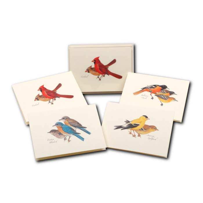 Boxed Notecard Assortment Peterson Bird Set of 8