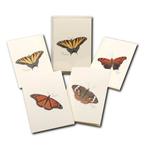Boxed Notecard Assortment Butterfly Set of 8