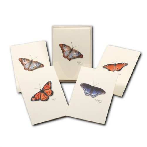 Boxed Notecard Assortment Butterfly II Set of 8