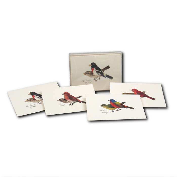 Boxed Notecard Assortment Peterson Bird II 8/PK