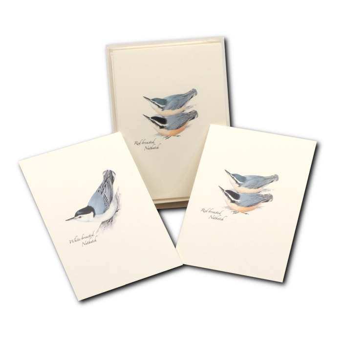 Boxed Notecard Assortment Peterson Bird III 8/PK