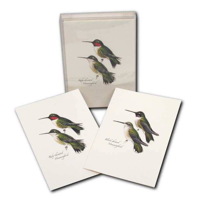 Boxed Notecard Assortment Hummingbird Set of 8