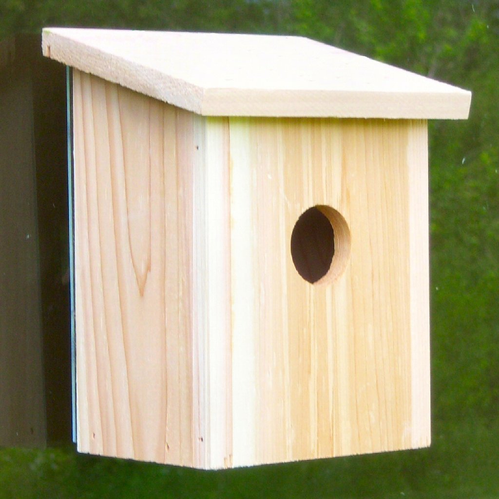 Songbird Nest View Birdhouse with Window Film