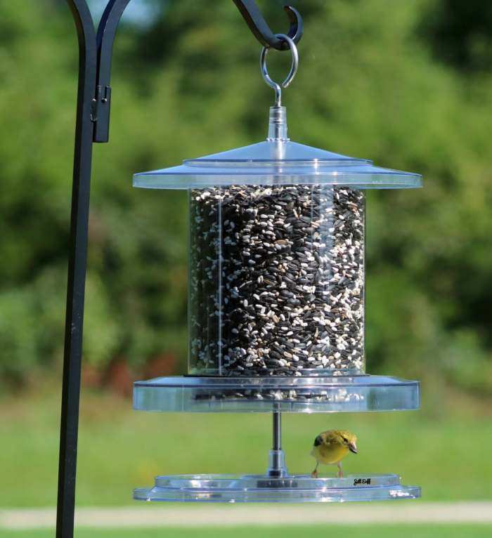 Heritage Deluxe Break Wild Bird Hanging Feeder Garden Seed Feeders Rainshelter Weatherproof
