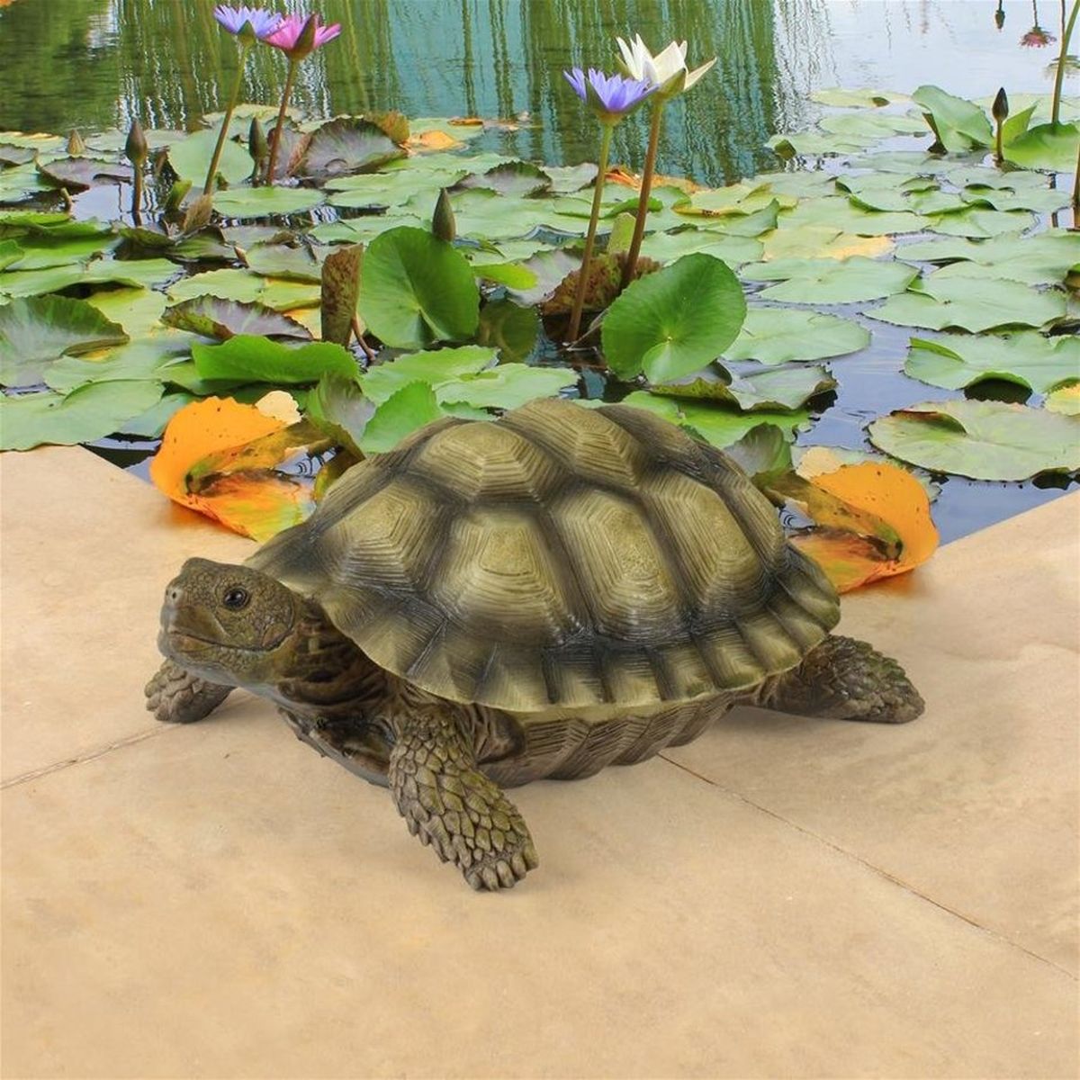 Gilbert the Box Turtle Statue