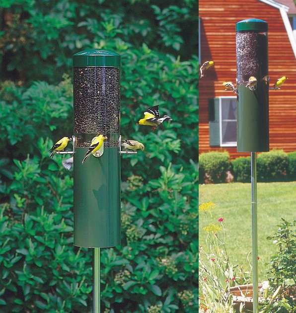 Birds Choice NP431 Classic Feeder with Built-In Squirrel Baffle and Pole