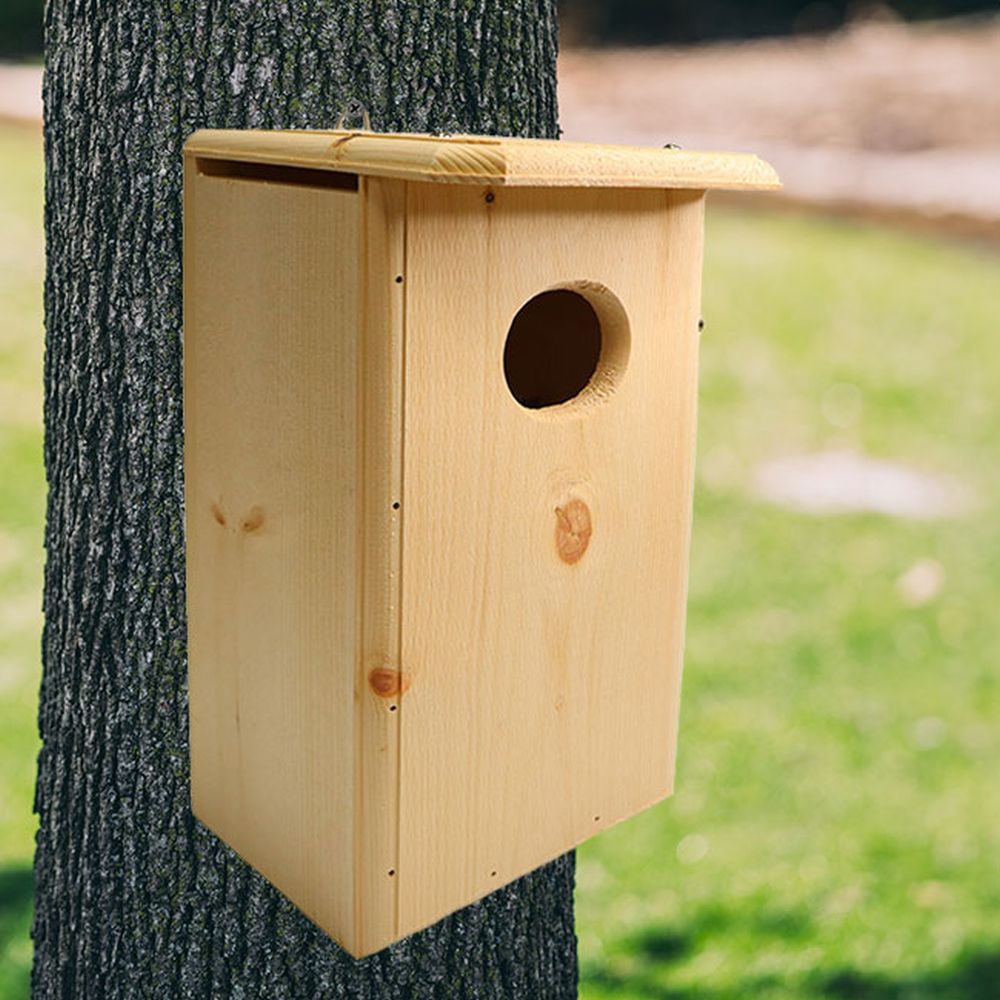 Conservation Bufflehead Duck House