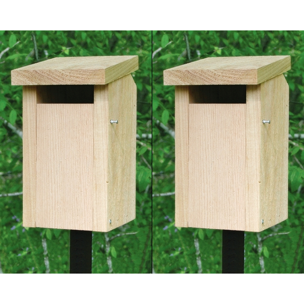 Kentucky Slot Bluebird House Package w/Poles