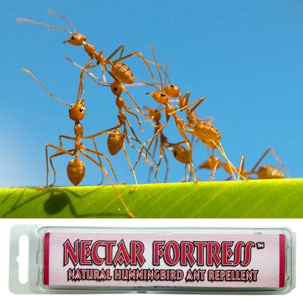 Nectar Fortress Natural Ant Repellent 2/Pack