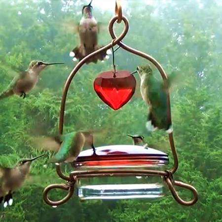Tweet Heart Lantern Hummingbird Feeder
