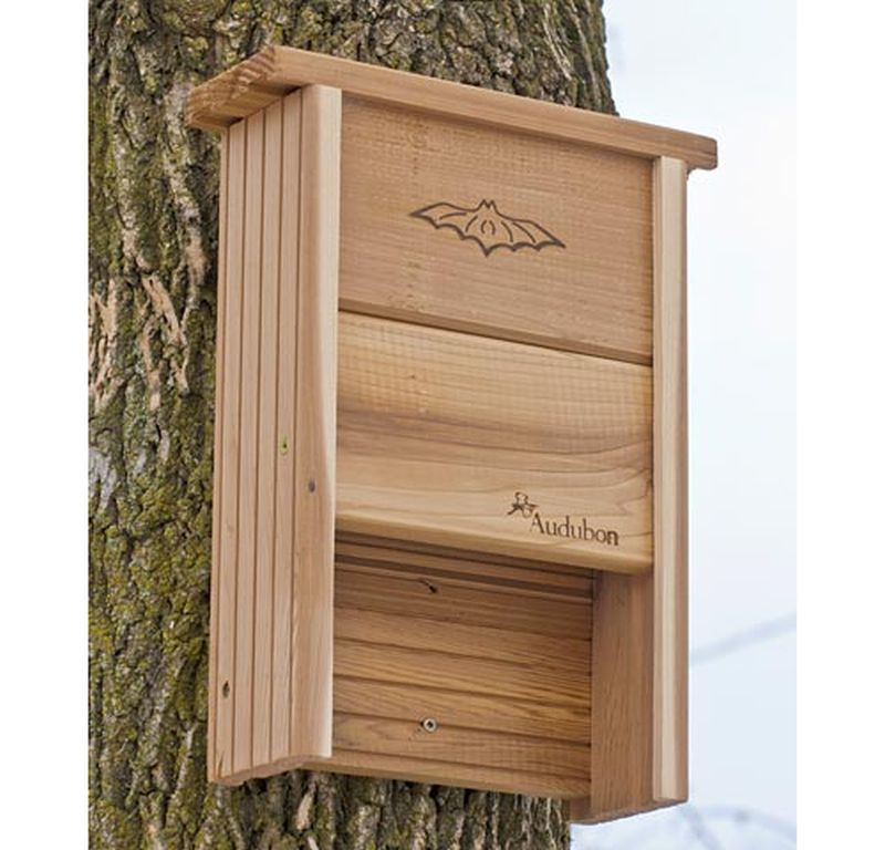Audubon Cedar Single Chamber Bat Shelter