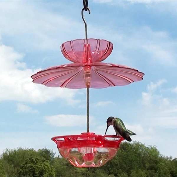 HummBlossom Hummingbird Feeder Accessory Kit