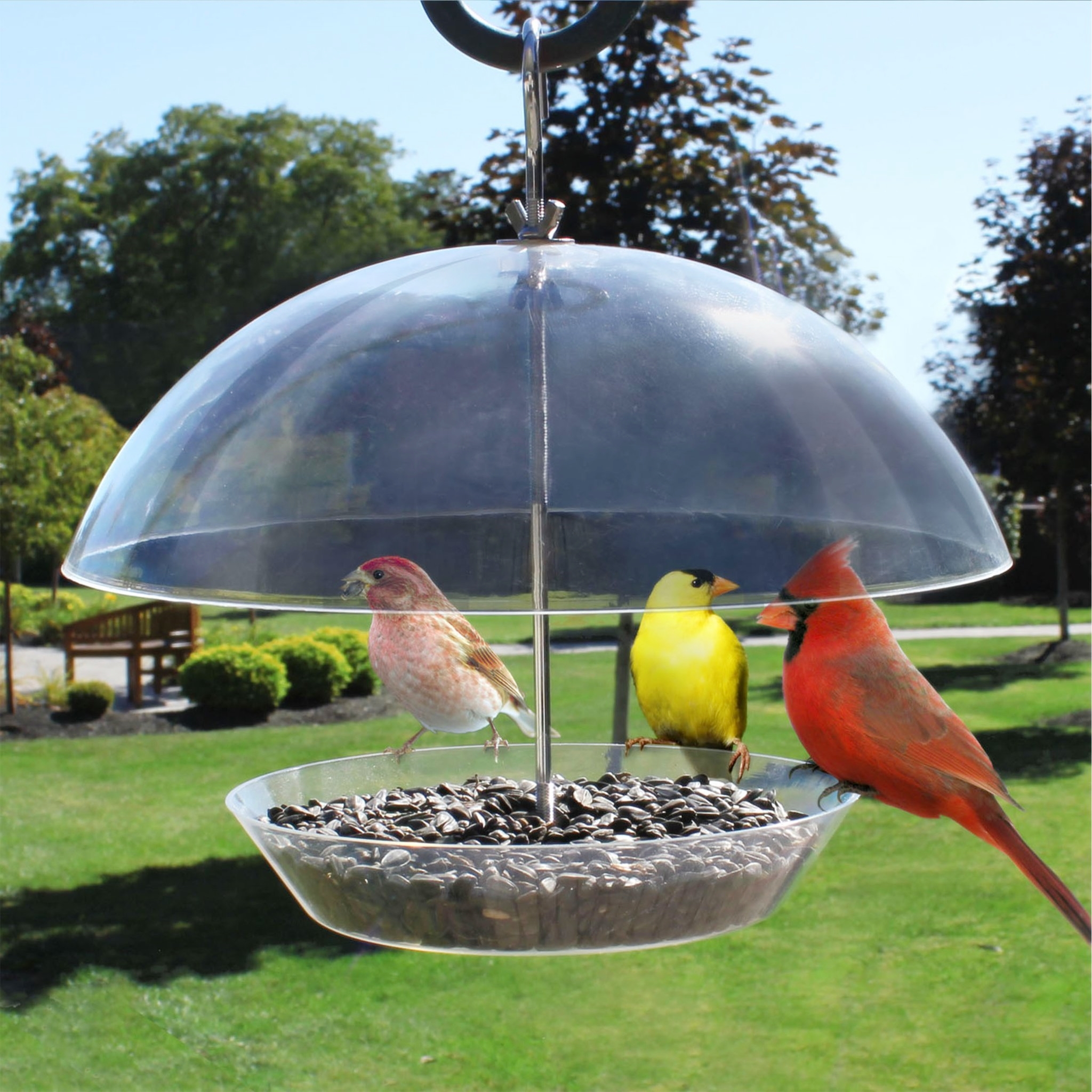 Observatory Dome Feeder