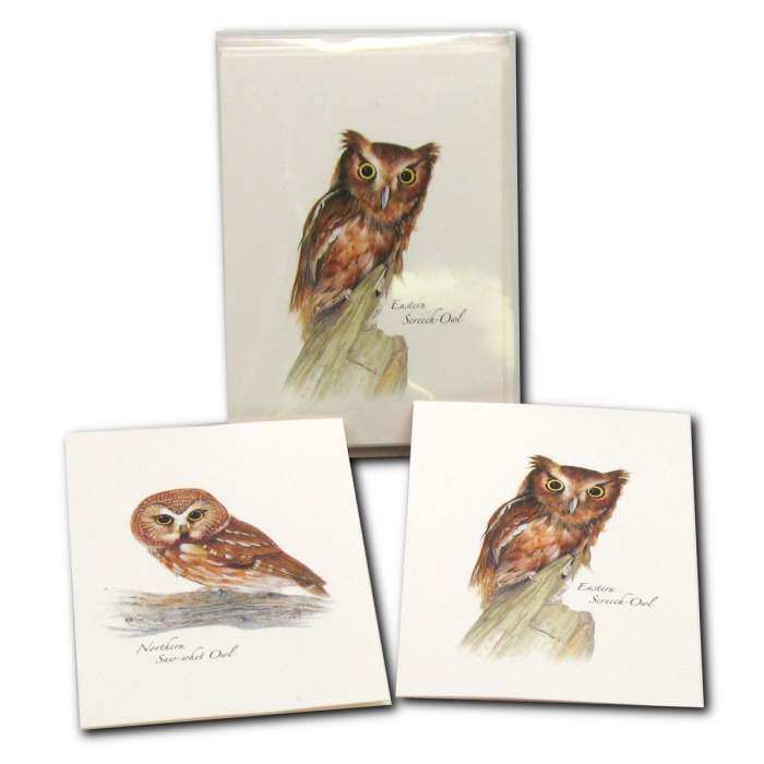 Boxed Notecard Assortment Owl II Set of 8