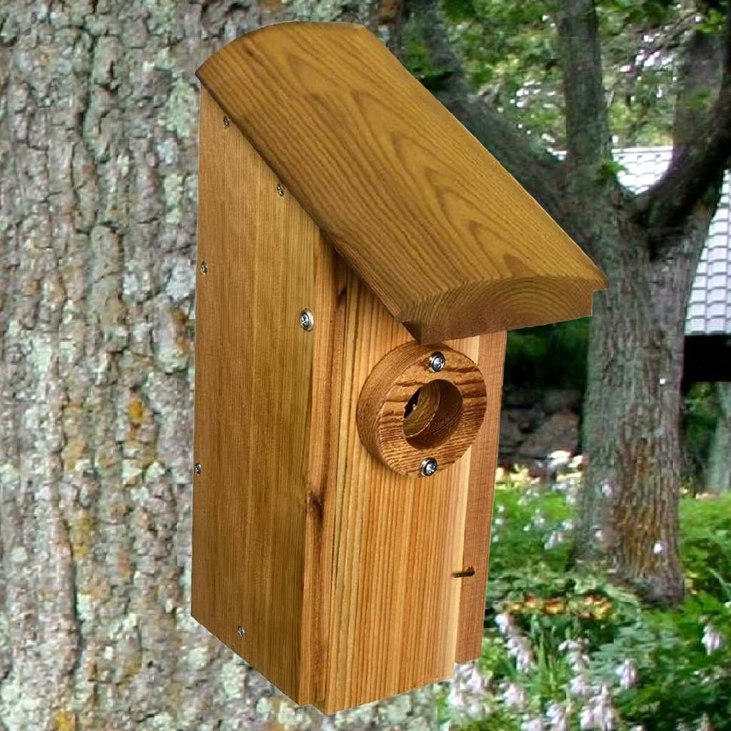 Cedar Select Country Squire Arch Roof Bird House