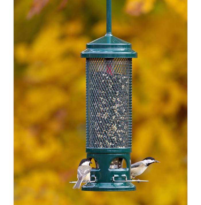 Squirrel Buster Legacy Bird Feeder