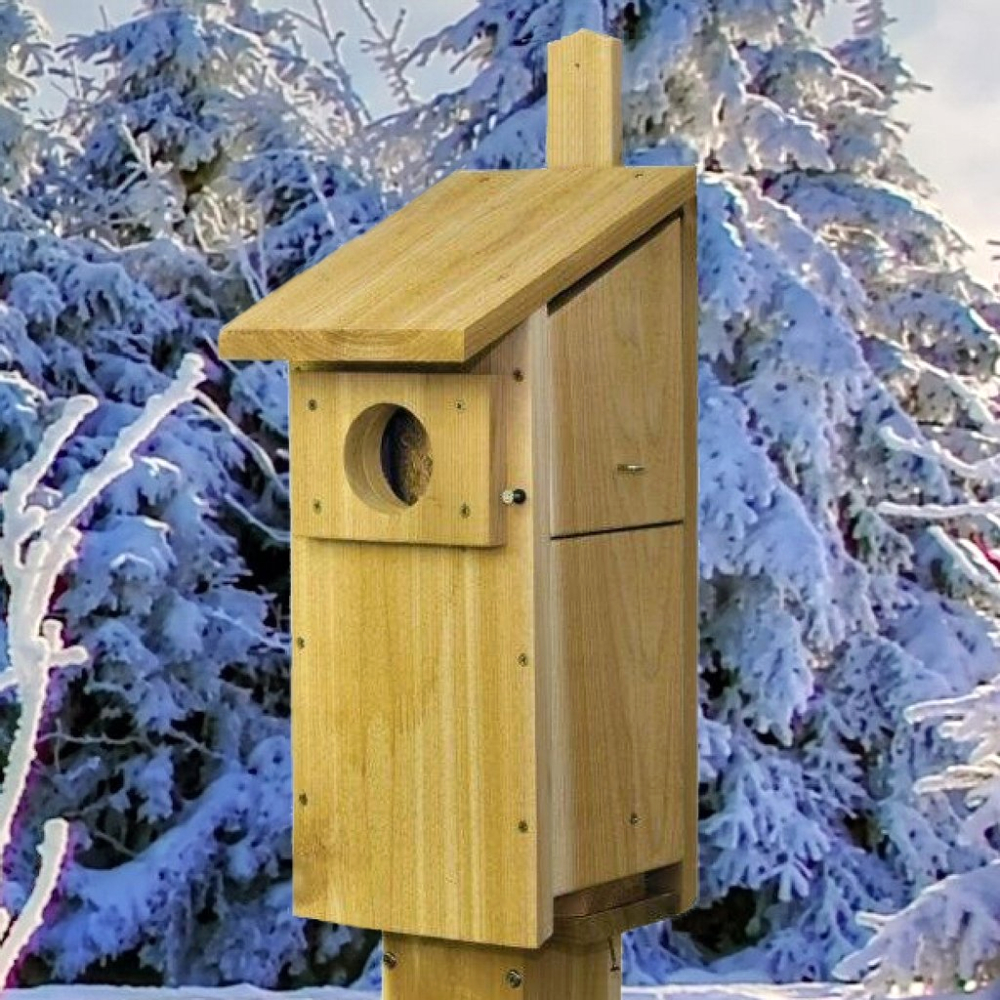 Screech Owl Two nest boxes Cedar Kestrel Nest Box 