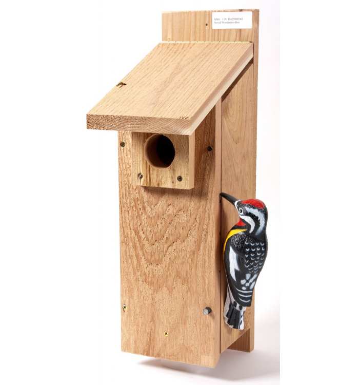 Stovall Cedar Select Woodpecker House Handcrafted Woodpecker Nest