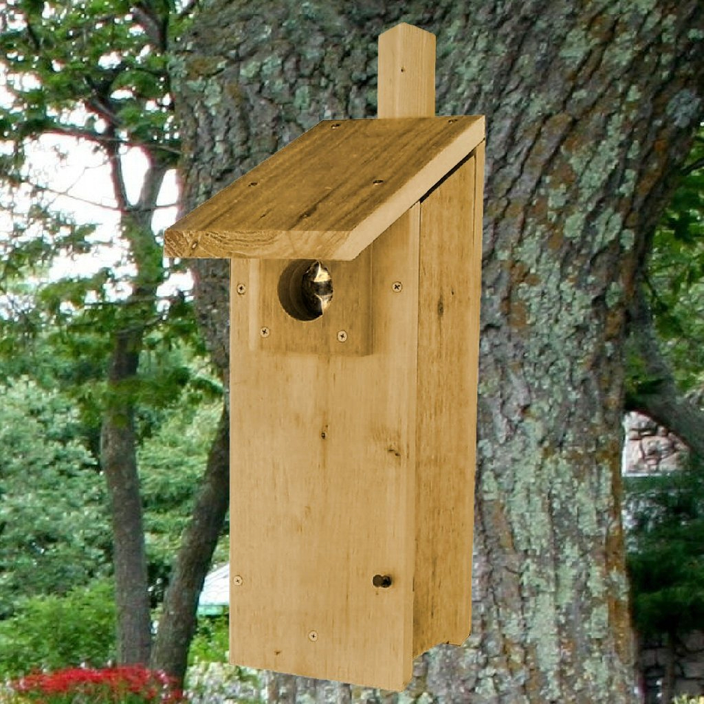 Cedar Select Woodpecker House