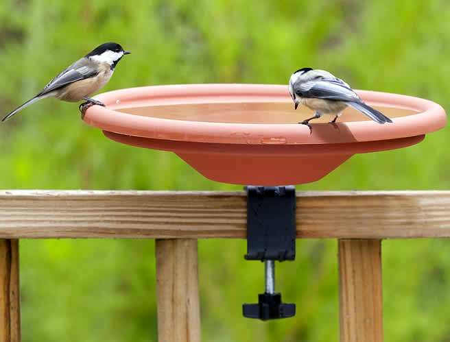 Audubon Deck Mount Birdbath