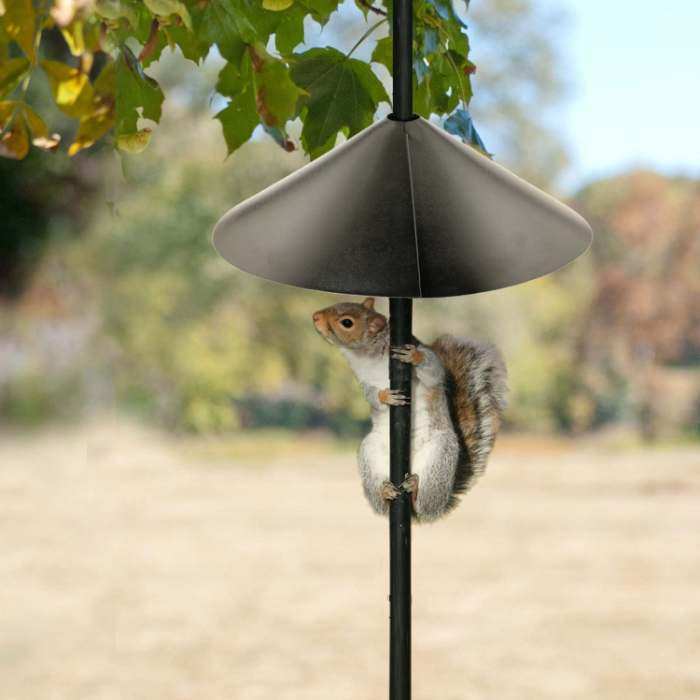 Audubon Wrap-Around Squirrel Baffle Black 14