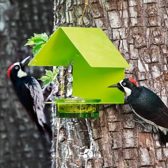 Fence/Post Metal & Glass House Bird Feeder Lime