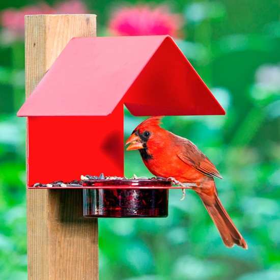 Fence/Post Metal & Glass House Bird Feeder Red