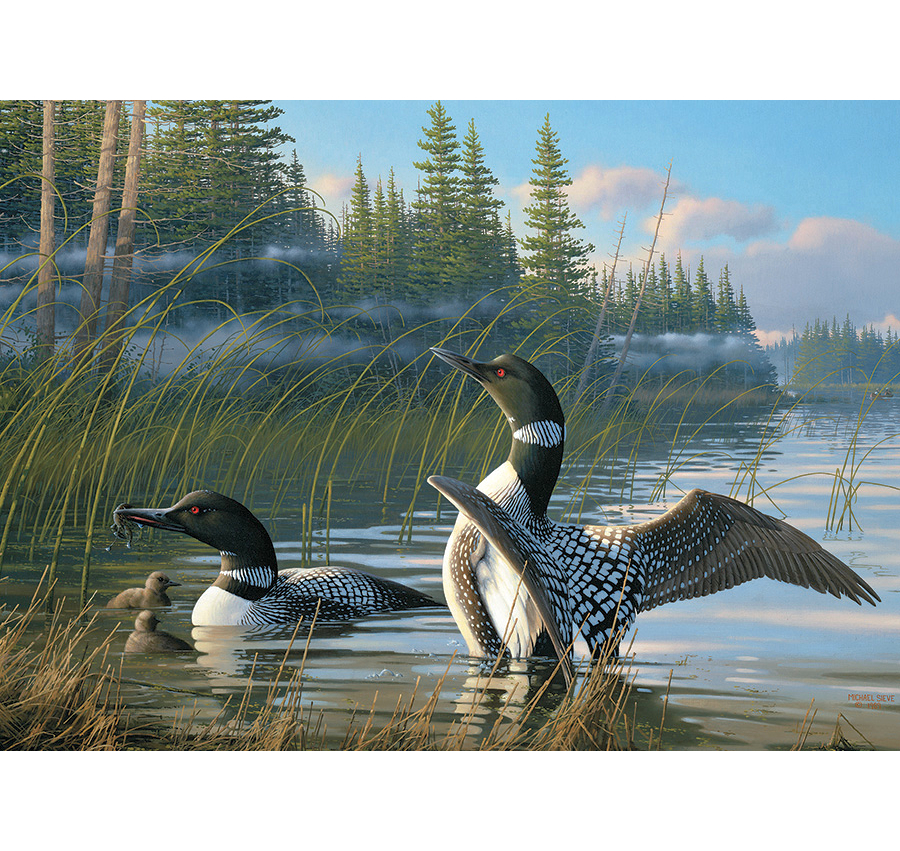 Common Loons 1000 Piece Jigsaw Puzzle