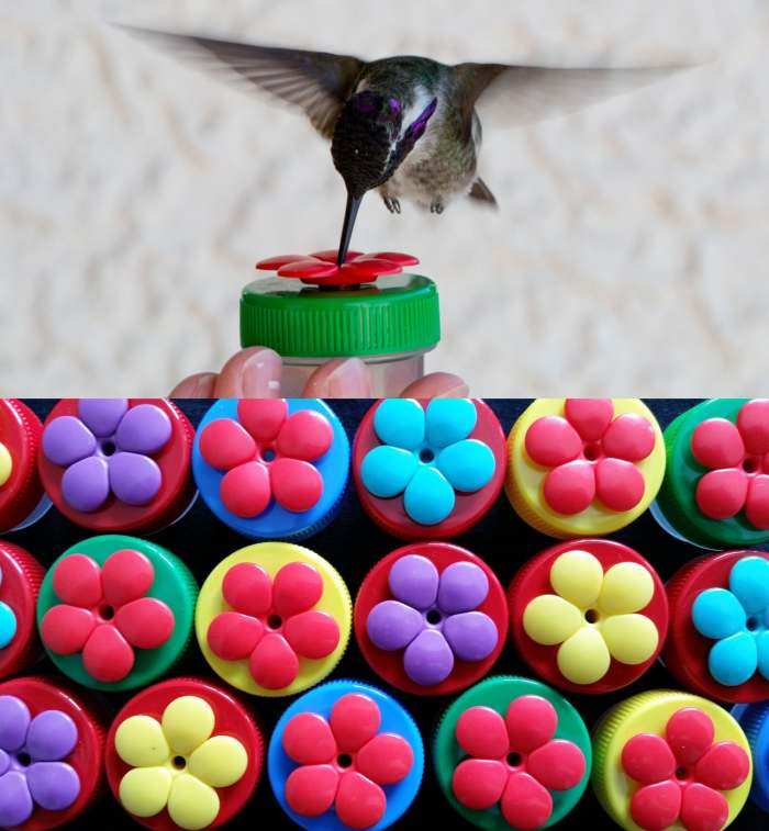 Nectar Dots Hummingbird Feeder Wildflower 25/PAK