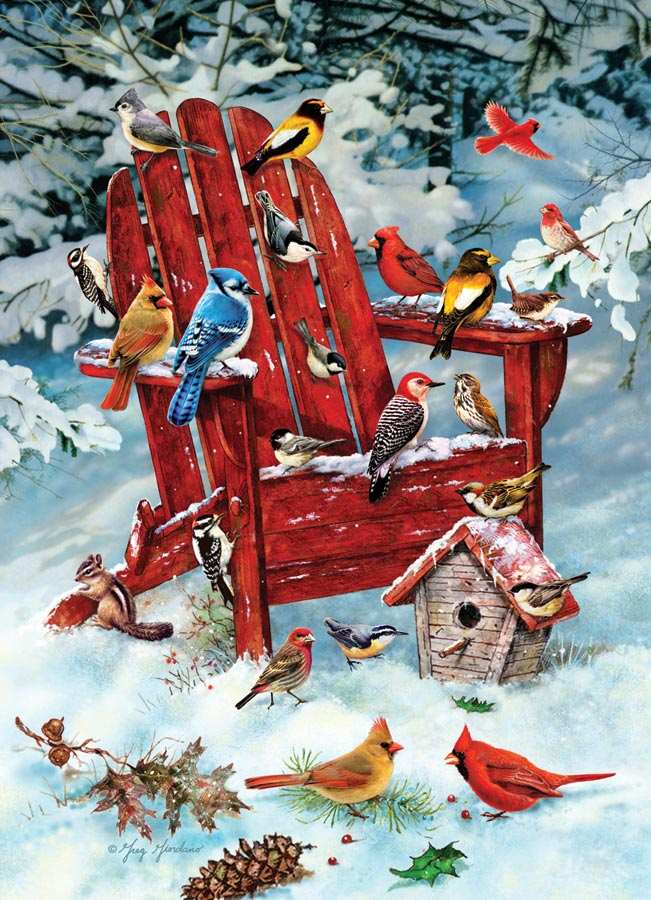 Adirondack Birds 1000 Piece Jigsaw Puzzle