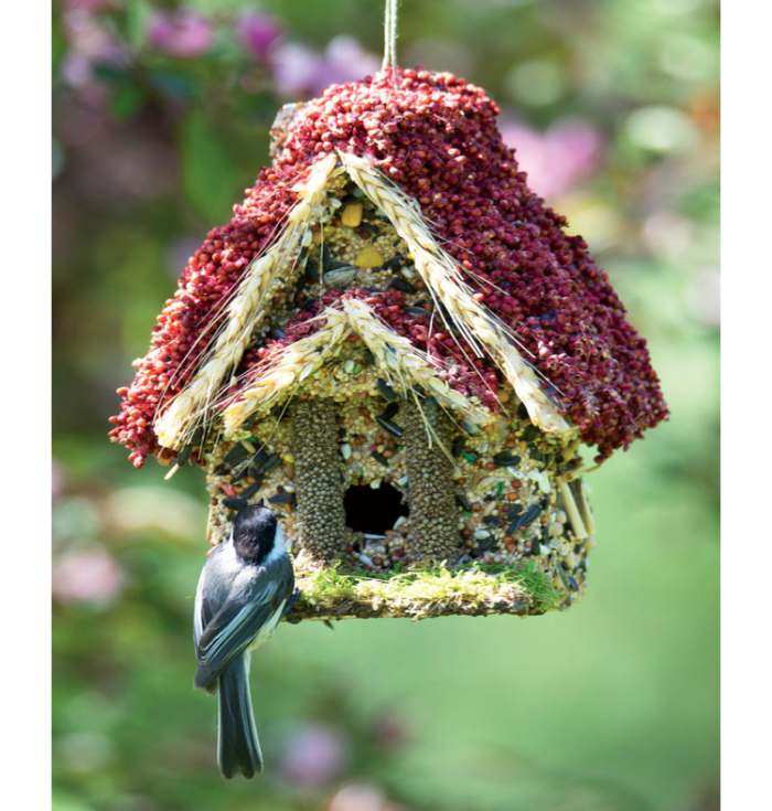 Backyard Bird Cottage Edible Birdhouse Handcrafted Edible Bird