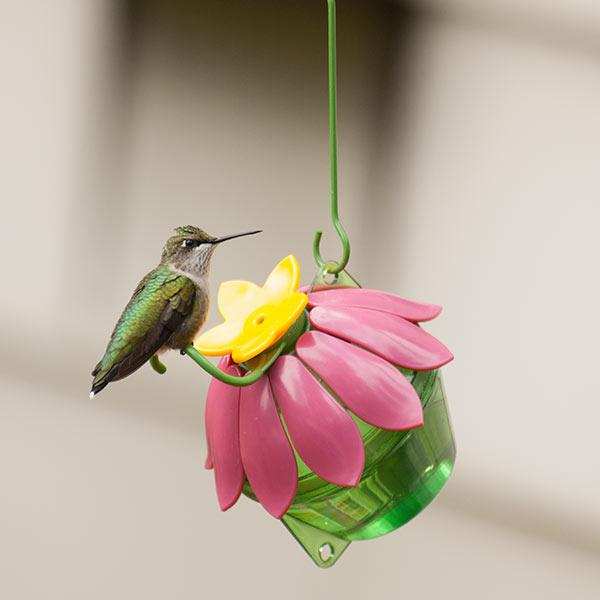 So Real Single Flower Hummingbird Feeder Pink