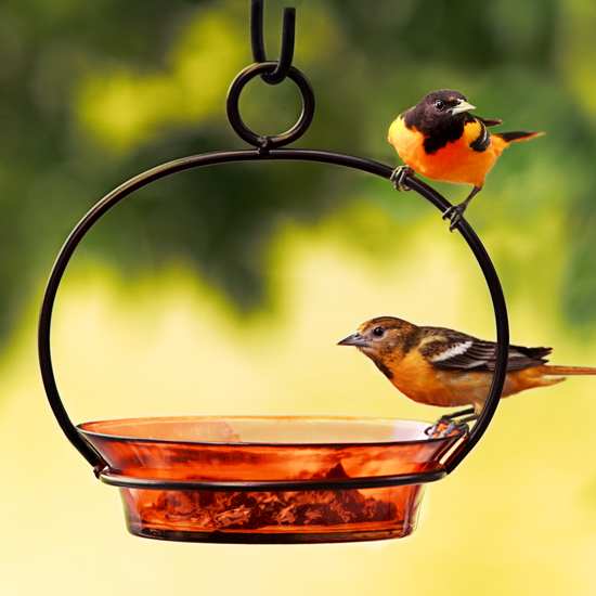 Hanging Cuban Bird Bath/Bird Feeder 8