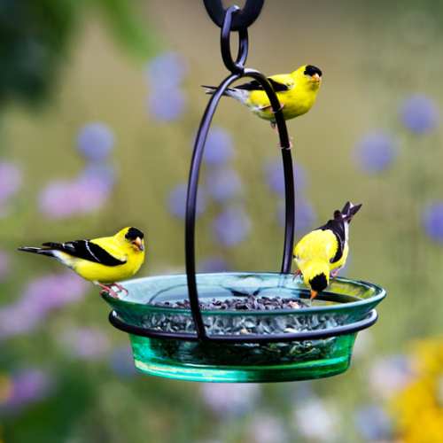 Hanging Cuban Bird Bath/Bird Feeder 8