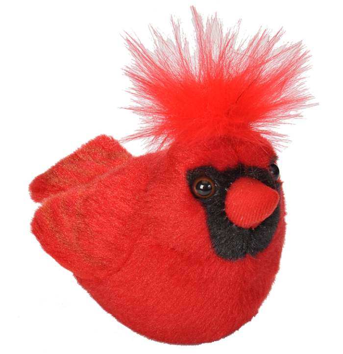 Audubon Birds - Northern Cardinal