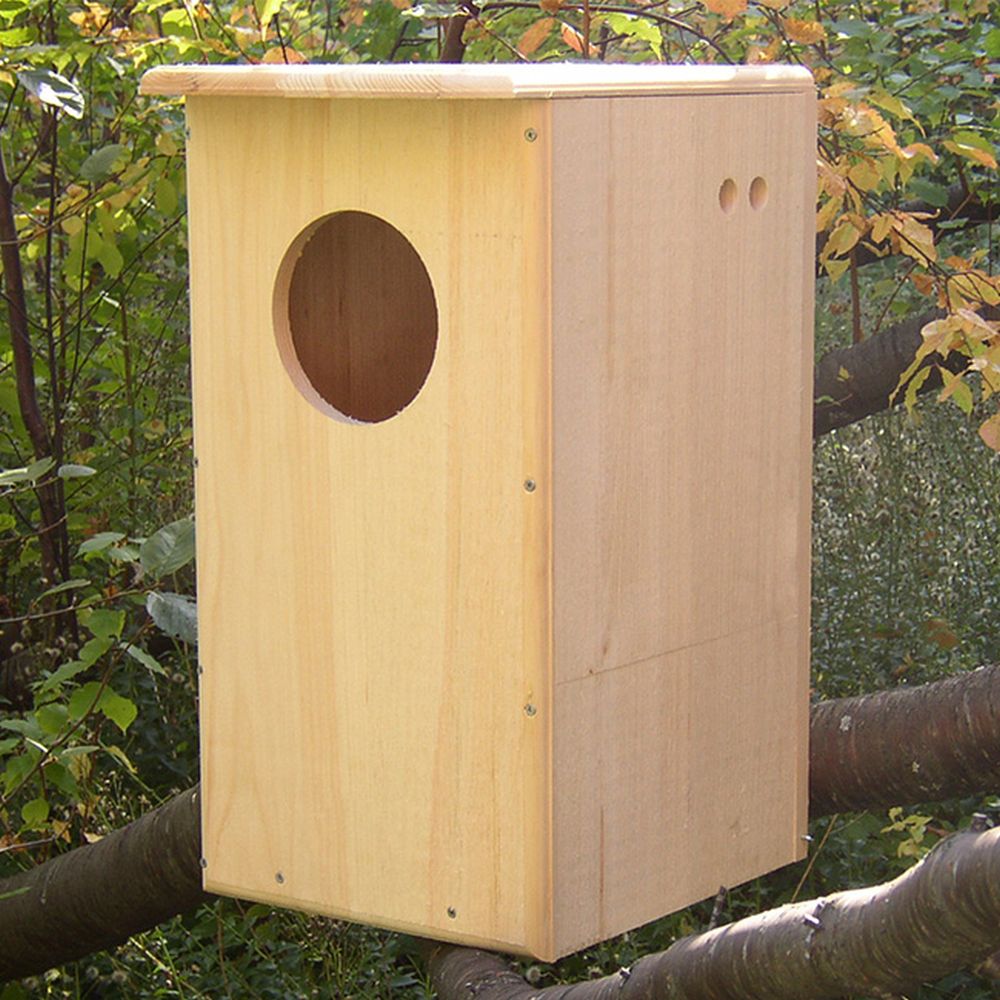 Conservation Barred Owl House
