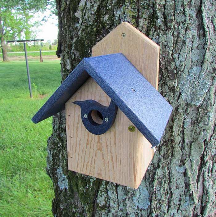 Songbird Post Mount Wren House w/Portal Blue