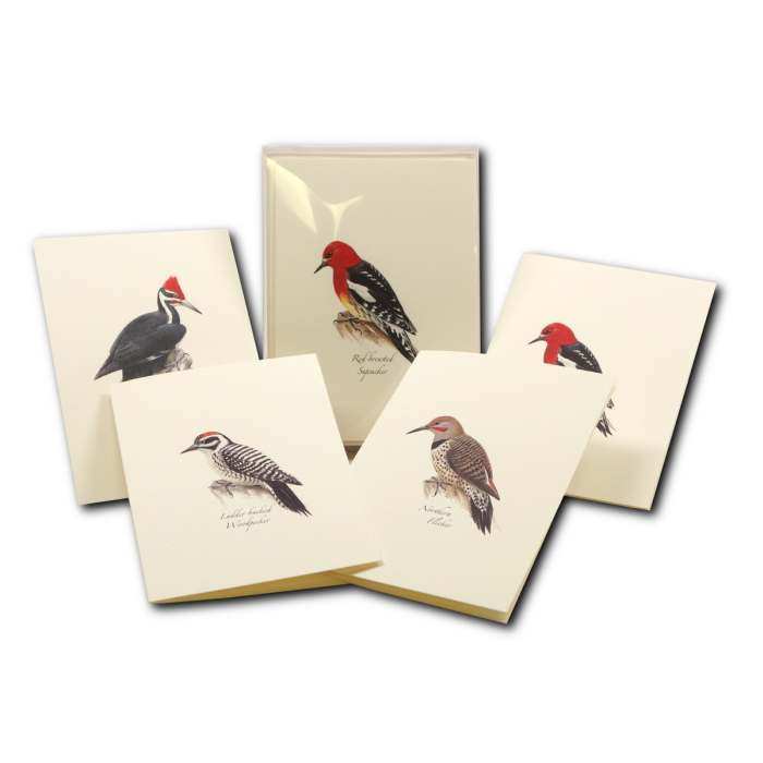 Boxed Notecard Assortment Western Woodpecker 8/Set