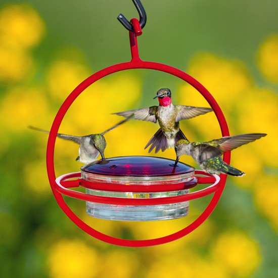 Sphere Hummingbird Feeder Red with Perch
