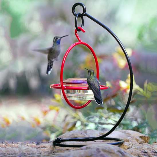 Sphere Hummingbird Feeder Red with Perch & Stand
