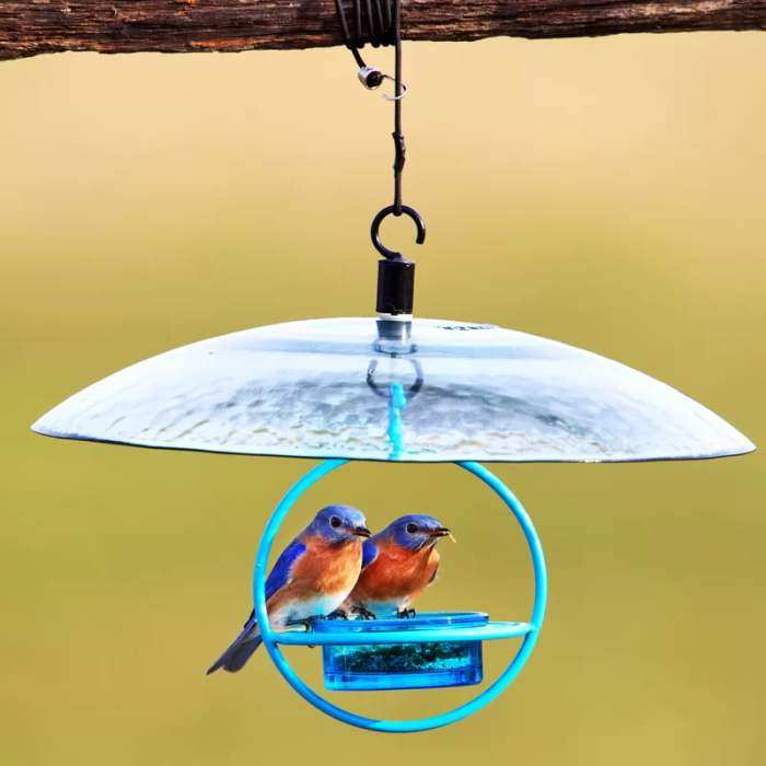 Recycled Glass Bird Feeder W Weather Baffle Dome Eco Friendly