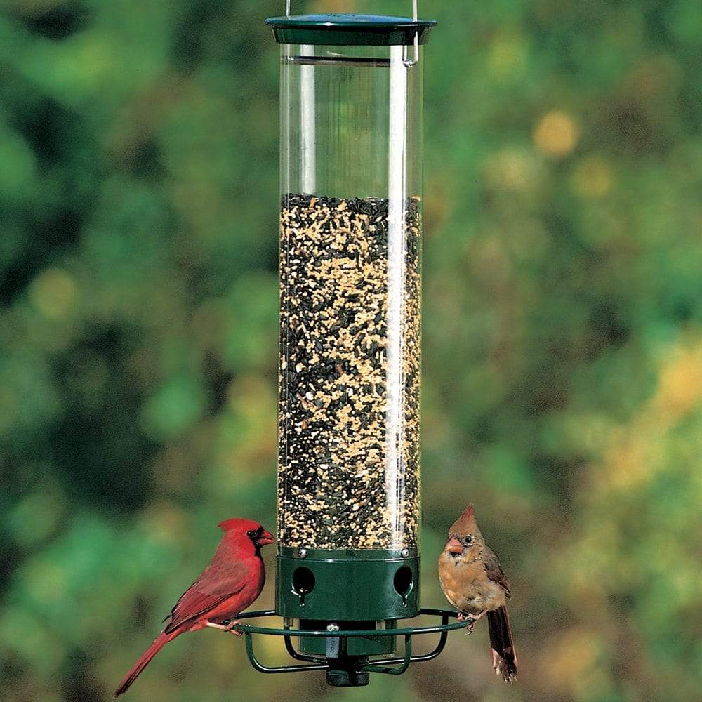 Droll Yankees Flipper Squirrel-Proof Bird Feeder